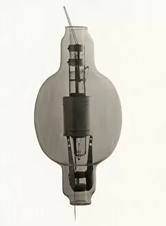Apparatus Collection: Marconi radio valve