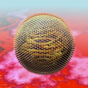 Measles virus particle, artwork C016/9329 Measles virus particle, artwork C016/9329