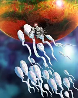 Images Dated 30th September 2003: Medical nanorobot on sperm cell