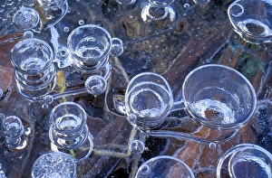 Methane Bubbles in Frozen Pond Print