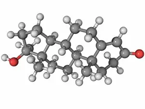 Methyltestosterone steroid drug molecule