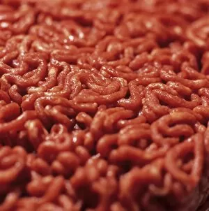 Images Dated 2nd March 2005: Minced beef