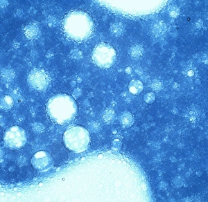 Images Dated 12th May 1989: Mixture of two-stroke oil and plain water