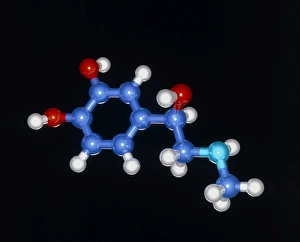 Molecular model of the hormone adrenaline Molecular model of the hormone adrenaline
