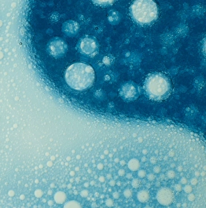 Images Dated 12th May 1989: Molecular properties of different liquids