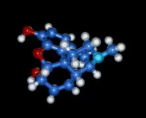 Images Dated 4th December 2003: Morphine drug molecule