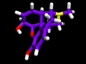 Images Dated 24th November 2004: Morphine molecule