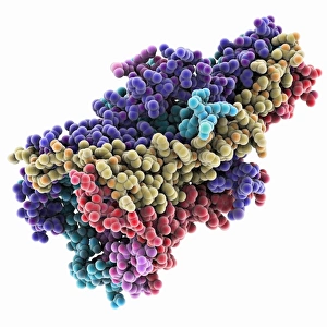 Biochemistry Gallery: MscL ion channel protein structure