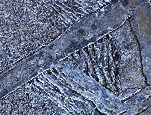 Muonionalusta meteorite, micrograph Muonionalusta meteorite, micrograph