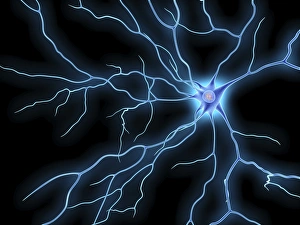 Neurones Gallery: Nerve cell, artwork F007 / 5505
