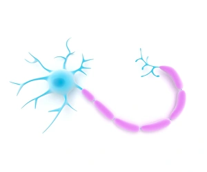 Synapse Gallery: Nerve cell, artwork F007 / 6433