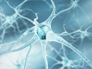 Synapse Gallery: Nerve cell, artwork F007 / 7445