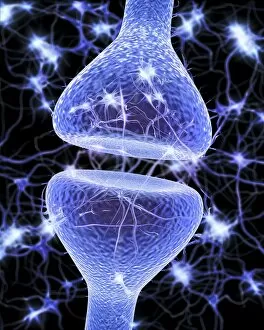 Neurones Gallery: Nerve synapse, artwork F006 / 7073