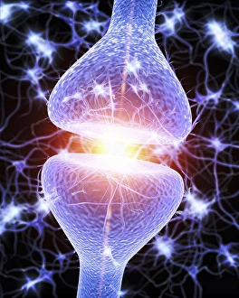 Neurones Gallery: Nerve synapse, artwork F006 / 7090