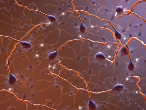 Dendrites Gallery: Neural network, artwork C017 / 2277
