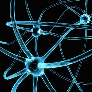Cell Body Gallery: Neural network, conceptual image C013 / 9957