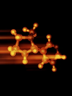 Nicotine molecule Nicotine molecule