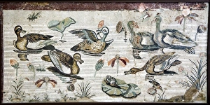 Nile flora and fauna, Roman mosaic Nile flora and fauna, Roman mosaic