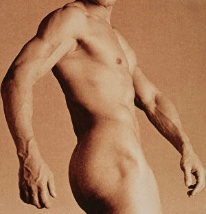 Muscles Gallery: Nude man