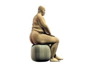 Oversize Gallery: Obese man, artwork