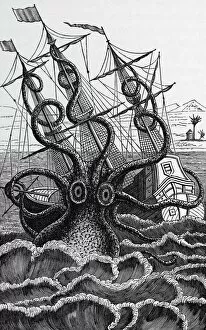 Images Dated 3rd March 2011: Octopus attacking a ship