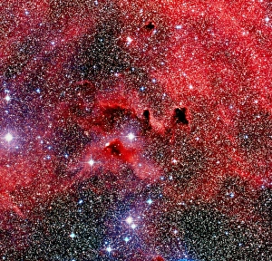 Optical image of a dark nebula on the Gum nebula Optical image of a dark nebula on the Gum nebula