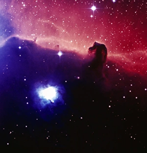 Optical image of the Horsehead nebula in Orion Optical image of the Horsehead nebula in Orion
