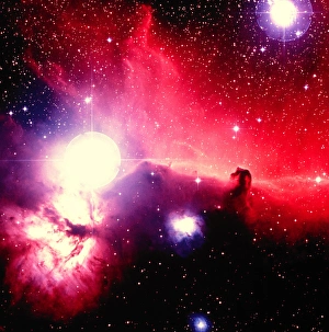Optical image of Horsehead Nebula and sur Optical image of Horsehead Nebula and sur