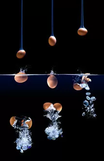 Composite Gallery: Panspermia theory of life