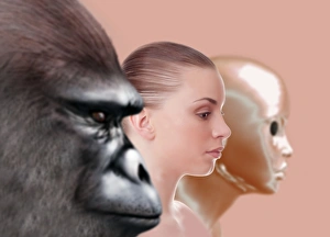 Cybernetic Gallery: Past and future human evolution, artwork C013 / 9506