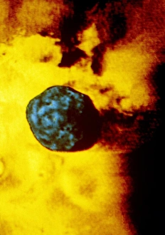 Phobos 2 spacecraft photo of Martian moon Phobos Phobos 2 spacecraft photo of Martian moon Phobos