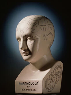 Images Dated 10th June 1993: Phrenology bust by L.N. Fowler