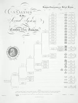 Latin Gallery: Plant sex system by Linnaeus, 1807