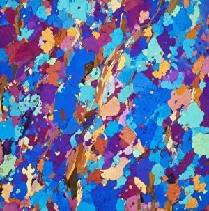 Images Dated 12th June 1990: Polarised LM of thin section of gneiss
