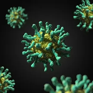 Poliovirus-receptor complex, artwork F007/7895
