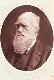 Images Dated 14th August 2009: Portrait of Charles Darwin, British naturalist