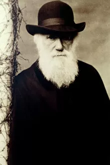 Images Dated 28th July 2005: Portrait of Charles Darwin, British naturalist