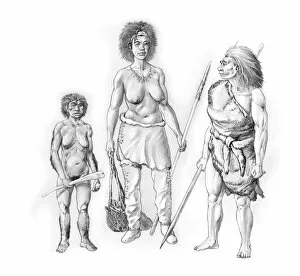 Prehistoric hominin females, artwork