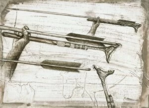Images Dated 3rd November 2011: Prehistoric spear-thrower