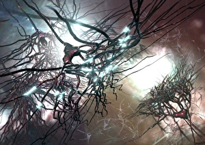 Neurones Gallery: Pyramidal nerve cells, artwork C017 / 2274
