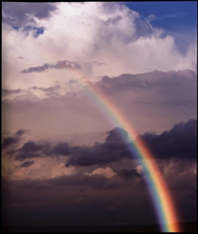 Images Dated 8th April 1999: Rainbow