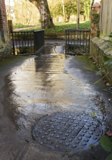 Raw sewage Raw sewage