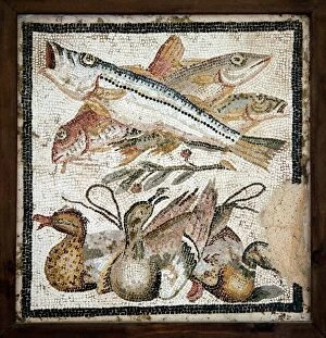 Art History Collection: Red mullets and ducks, Roman mosaic