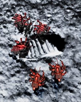 Robots on the Moon