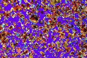 Polarised Light Micrograph Collection: Rock mineral crystals, polarised LM C017 / 8476