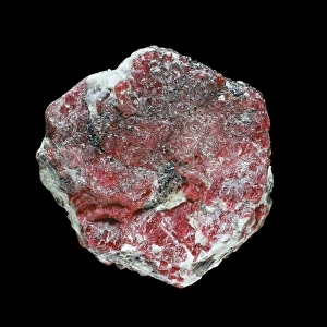 Framed Print : Ruby C016 / 5626 Ruby Print Framed Print : Ruby C016 / 5626 Ruby Print