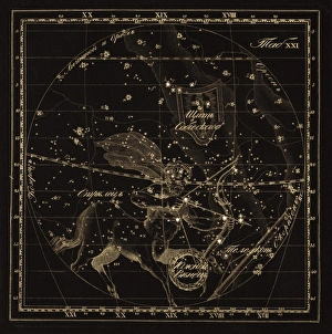 Sagittarius constellations, 1829 C016/4407 Sagittarius constellations, 1829 C016/4407