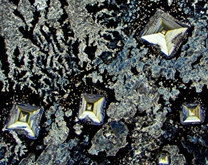 Salt crystals, light micrograph Salt crystals, light micrograph