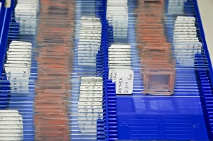 Laboratory Equipment Photos Prints: Sample Sides in a lab