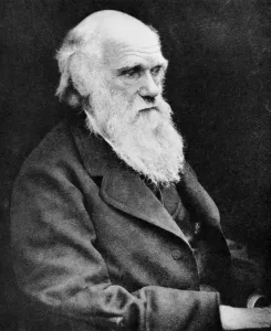 Author Prints: Print of Charles Darwin in old age